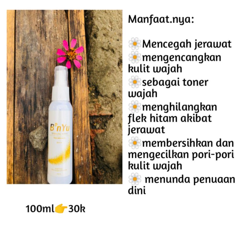 PAKET RESELLER 5 B'NYU PUTIH