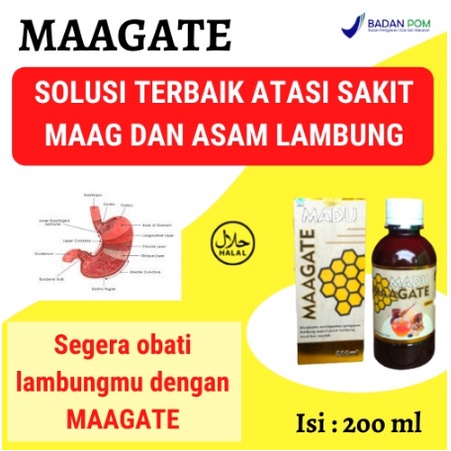 MAAGATE MADU MAAGATE | MADU MAAG KRONIS / MADU ASAM LAMBUNG / MADU GERD 100% ORIGINAL ASLI AMPUH