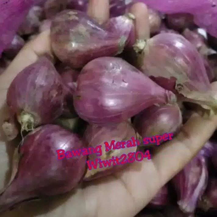 Bawang Merah Brebes Super besar 250g