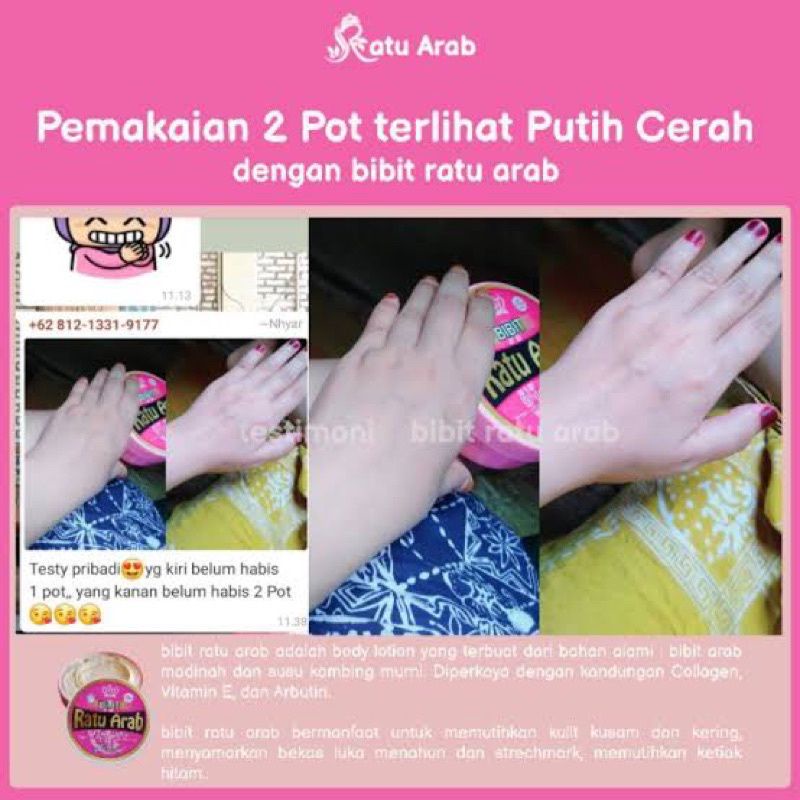 hb bibit ratu arab original 100%