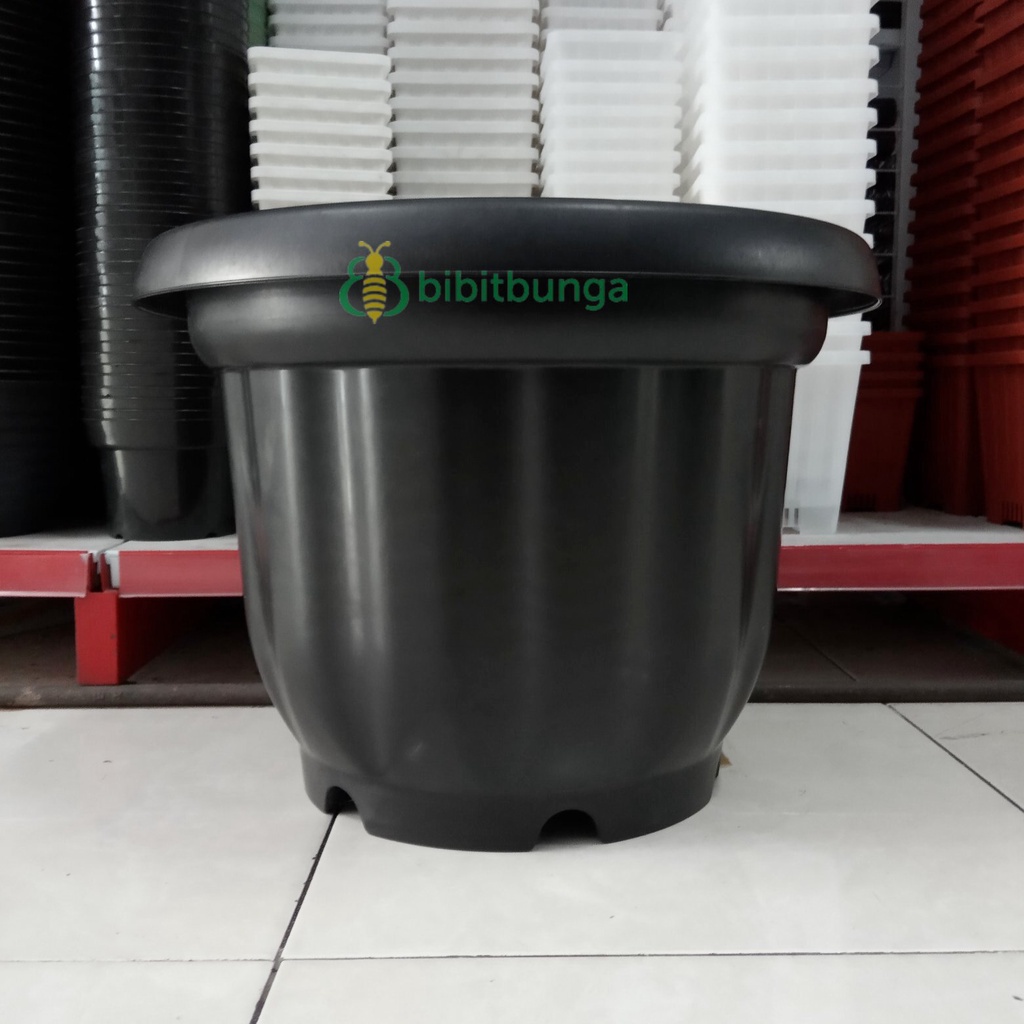 Pot BigMom Hitam 50cm 50 cm Tanaman Bunga Buah Hias Ukuran Besar Jumbo
