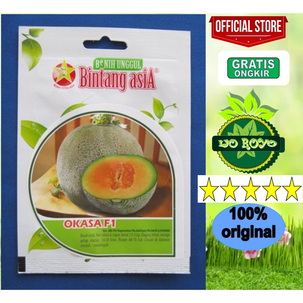 Benih Bibit Rock Melon Okasa F1 Bintang Asia