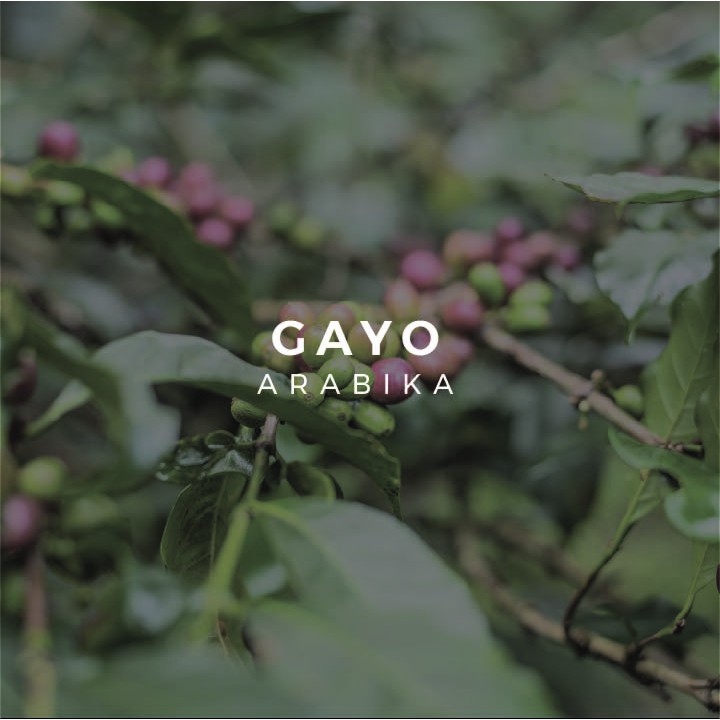 

Green Bean Arabica Gayo