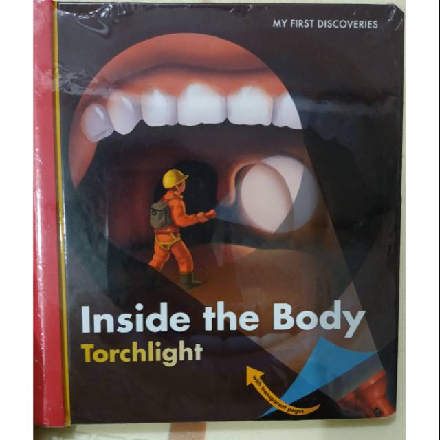 MFD Torchlight Inside The Body