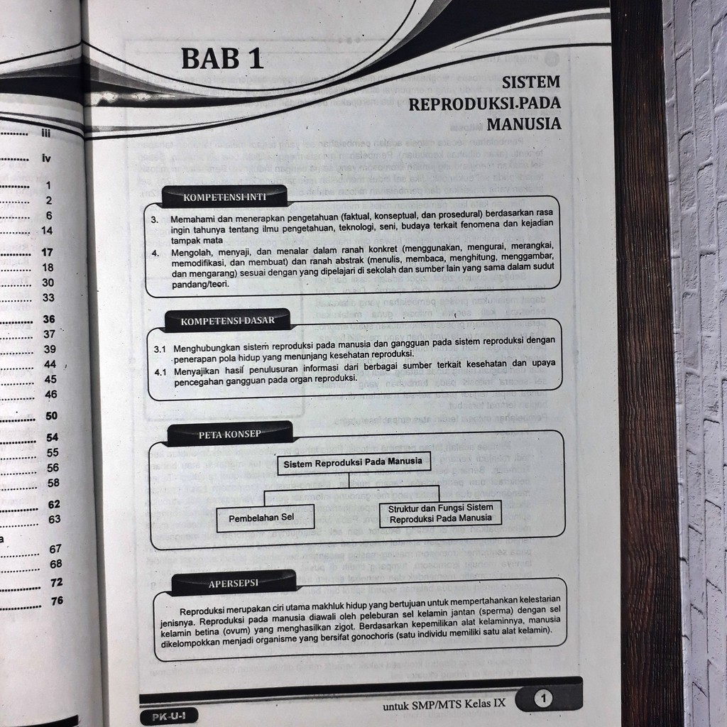 Kata Apespsi Dan Motivasi Sistem Reproduksi Terkini