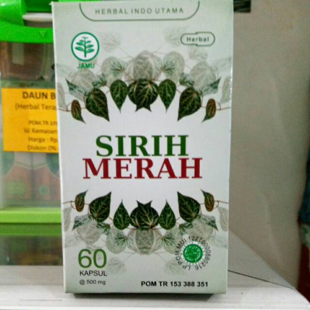 

Sirih Merah HIU
