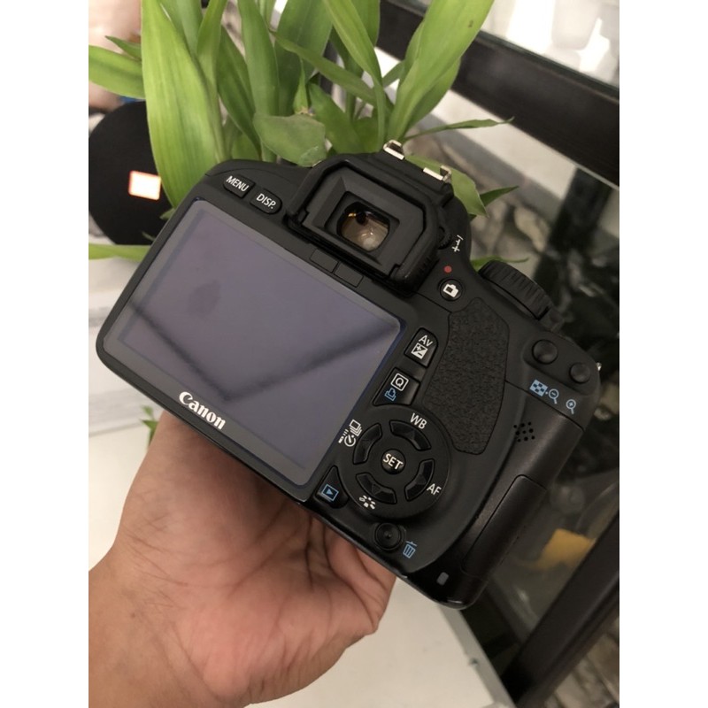 kamera canon oes dlsr 550d body only mulus lengkap box