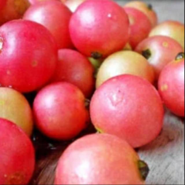 

Buah cersen 100biji