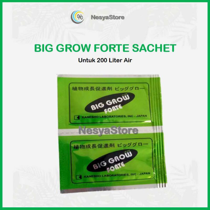 ZPT Big Grow Forte 20WP sachet 20 Liter