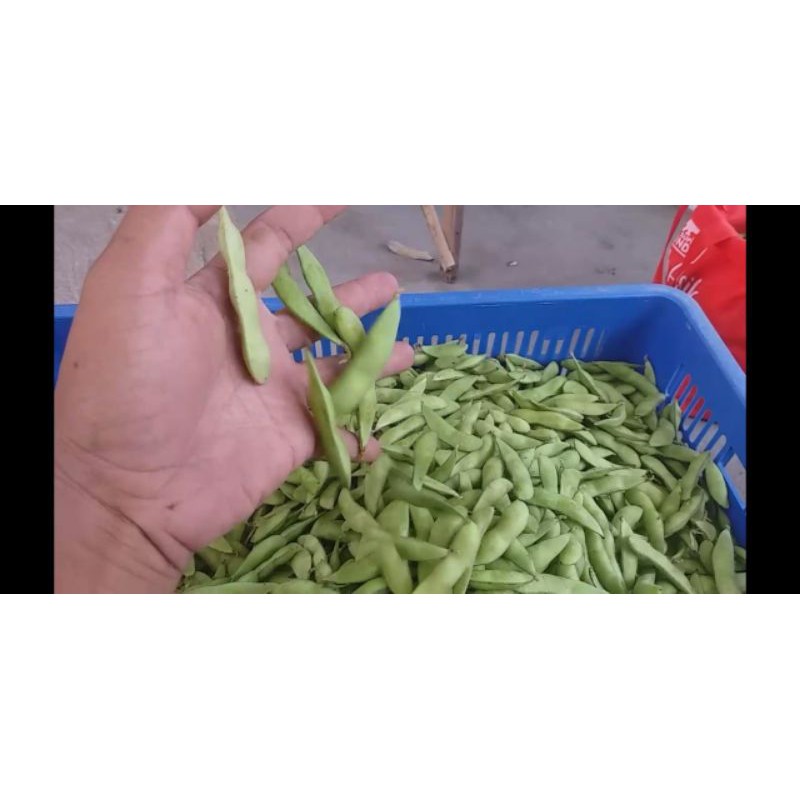 

Edamame kualitas super 250 gr