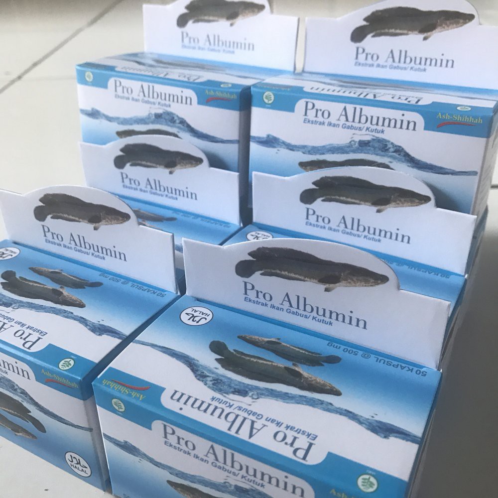 PRO ALBUMIN EKSTRAK IKAN GABUS  KUTUK KAPSUL isi 50 kapsul 100 % asli original