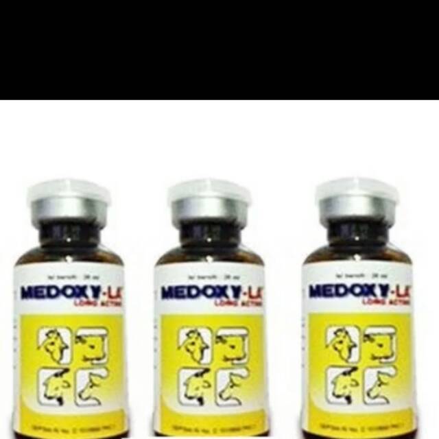 Obat antibiotik spektrum luas kambing domba sapi MEDOXY LA