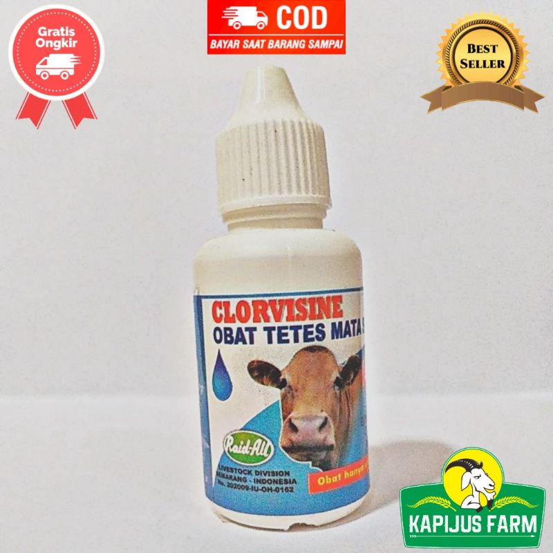 Clorvisine Obat Tetes Mata Sapi Kambing Domba