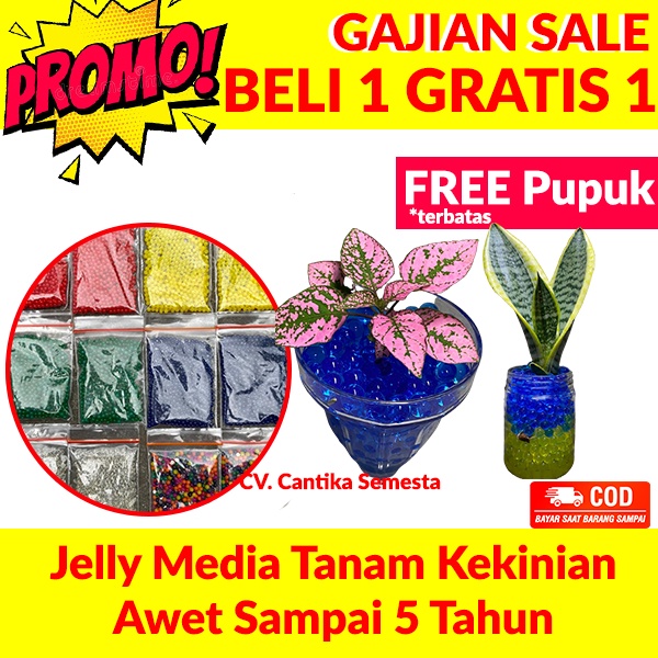 PROMO Jelly Farm Media Tanam Hydrogel Hidrogel Tanaman Hias Indoor Beli 1 Gratis 1 Free Pupuk
