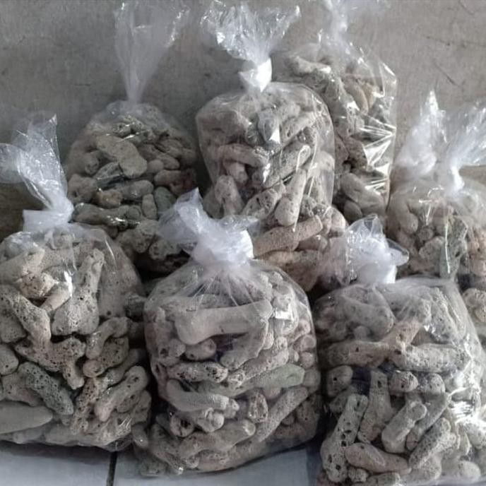 Jual KARANG JAHE MEDIA FILTER AQUARIUM LAUT DAN TAWAR 500 GRAM Shopee