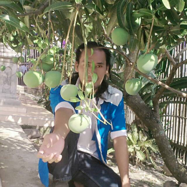 zayalifh