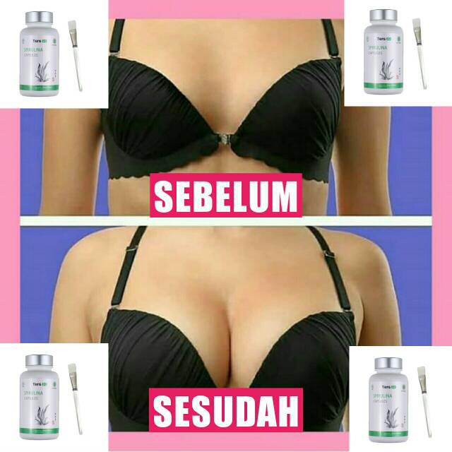 Masker Payudara Membesarkan & Mengencangkan Payudara Montok Terla