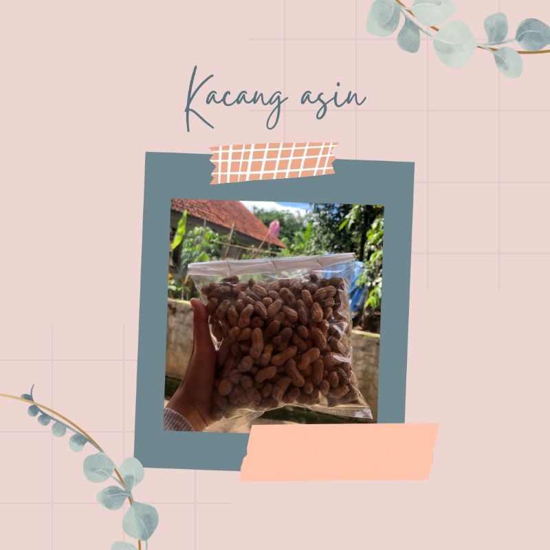 

KacangAsin