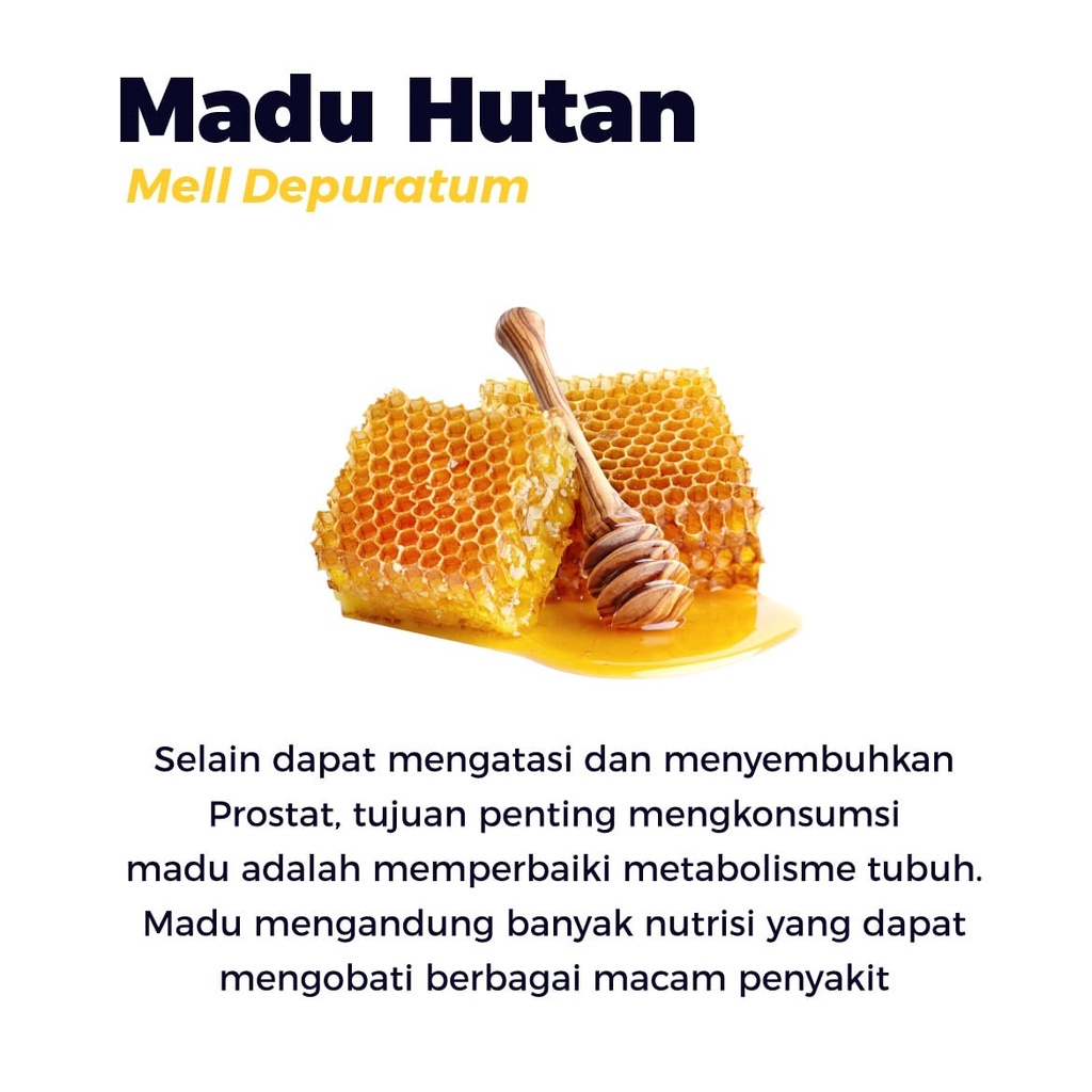 Obat Hernia Madu Herbapros Obat Herbal Prostat Dan Turun Berok Ampuh