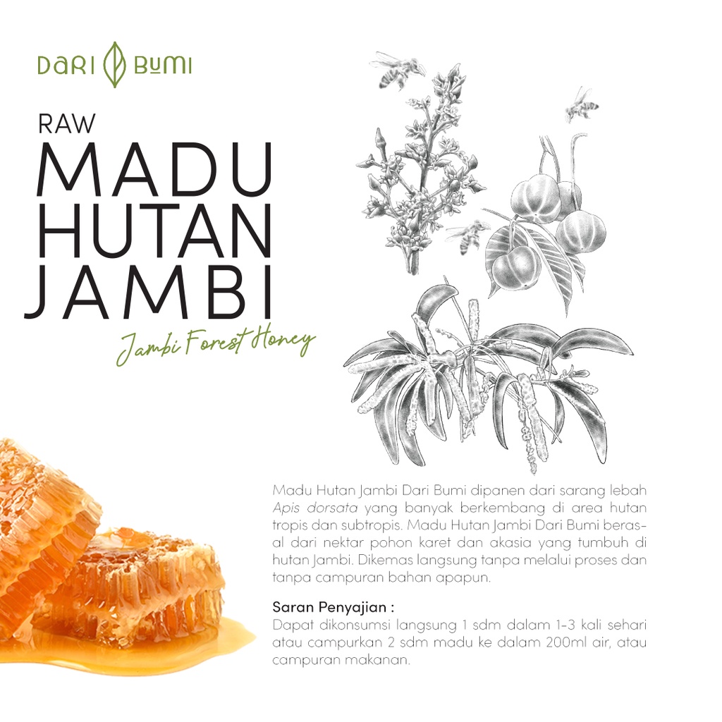 Madu Asli Hutan Jambi 340g Dari Bumi Premium Pure Original