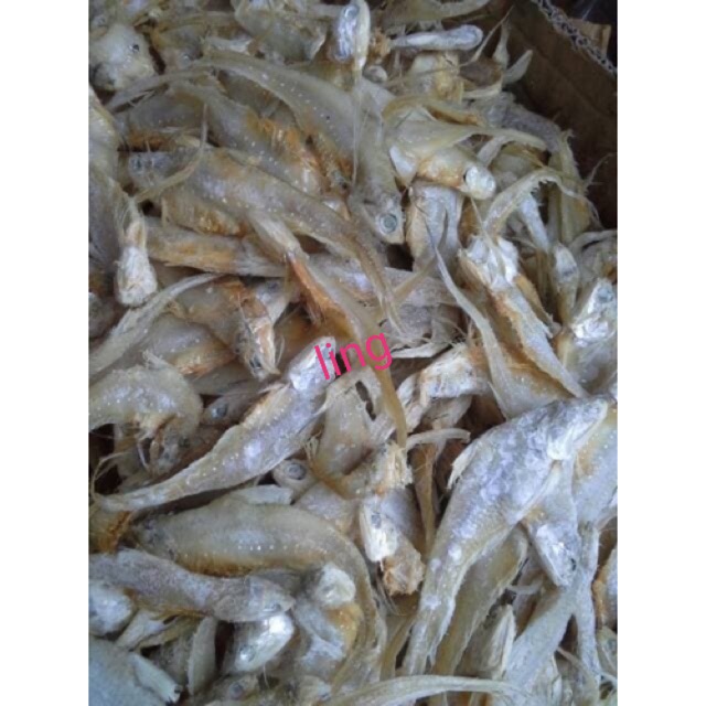 

ikan asin bulu ayam 250 gram