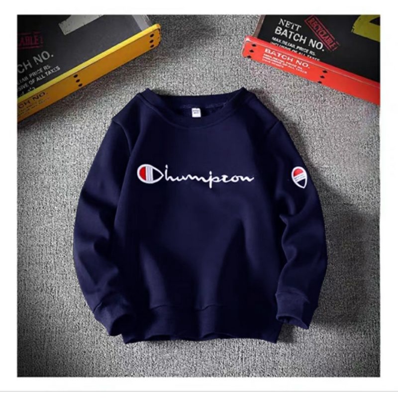 PROMO BAJU SWEATER HAMPION