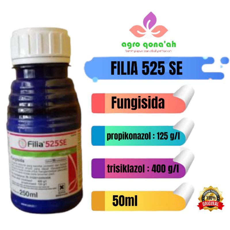 Filia 50ml