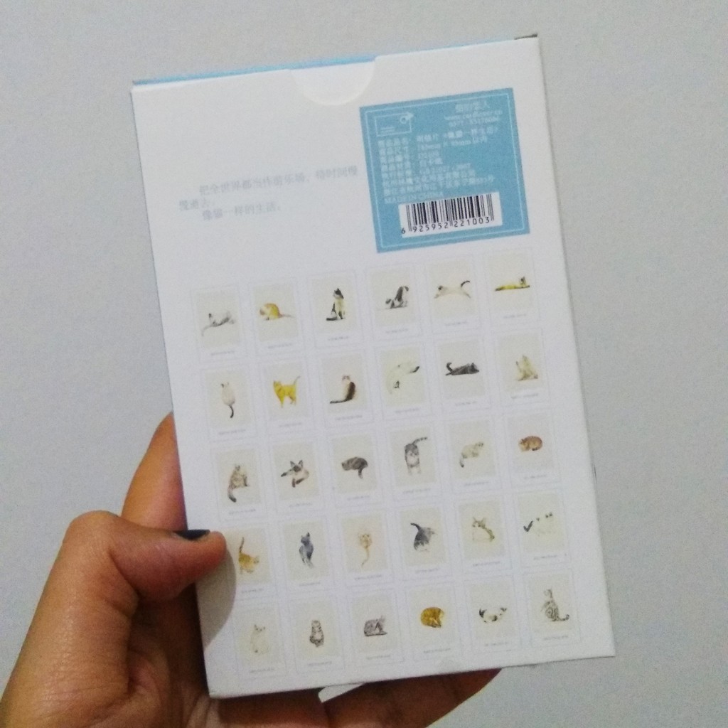 Kartu Pos Postcard Cat Kucing Random