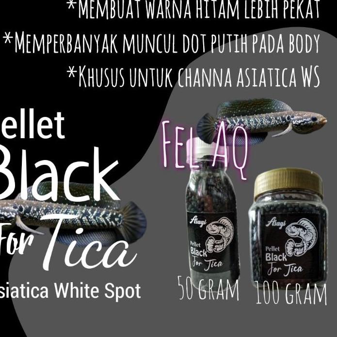 [VnT⭐Pellet Channa Black For Tica Asiatica WS Pure Pelet Asagi Black Asiatika White Spot Pakan Chana