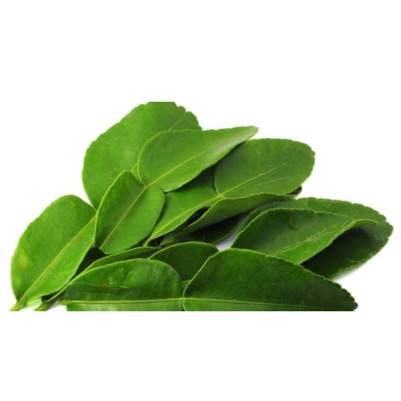 

Daun Jeruk 100 Gram