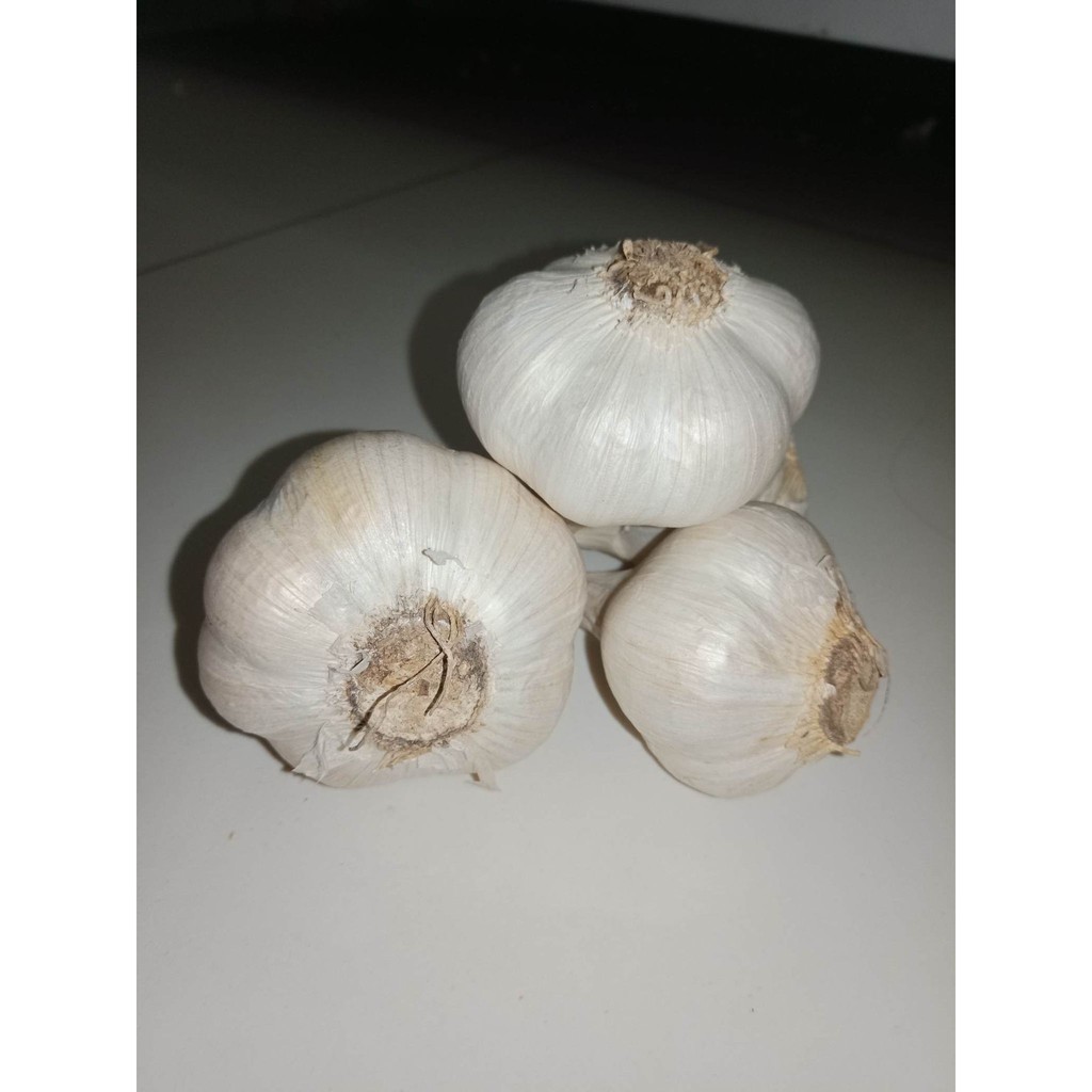 

Bawang Putih Kating 1 kg