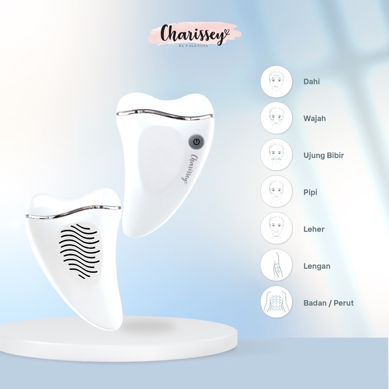 Charissey Hot &amp; Cold Face Massager