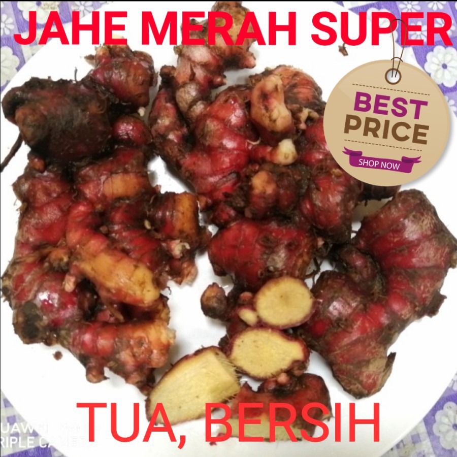 

JAHE MERAH SEGAR 100% PER KG