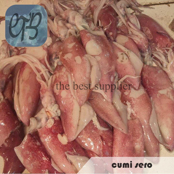 

Cumi Sero Segar