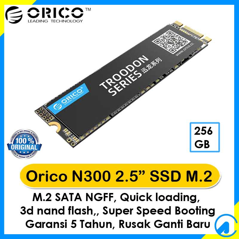 Orico N300 SSD 256GB M.2 SATA 2280 Troodon Series