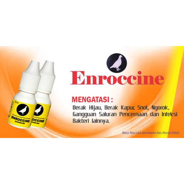 Enroccine By Vitarest Obat Berak Hijau Snot Ngorok Dan Lainnya