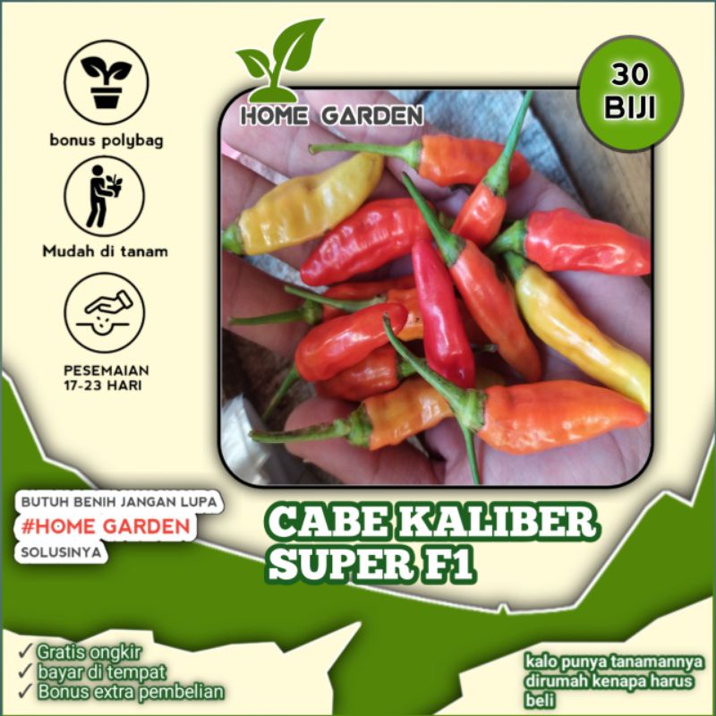 30 Biji - Benih Cabe Rawit Kaliber F1 Bibit Original