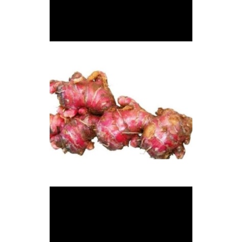 

[COD]JAHE MERAH SENGAR MURAH ASLI KALIMANTAN 500gram