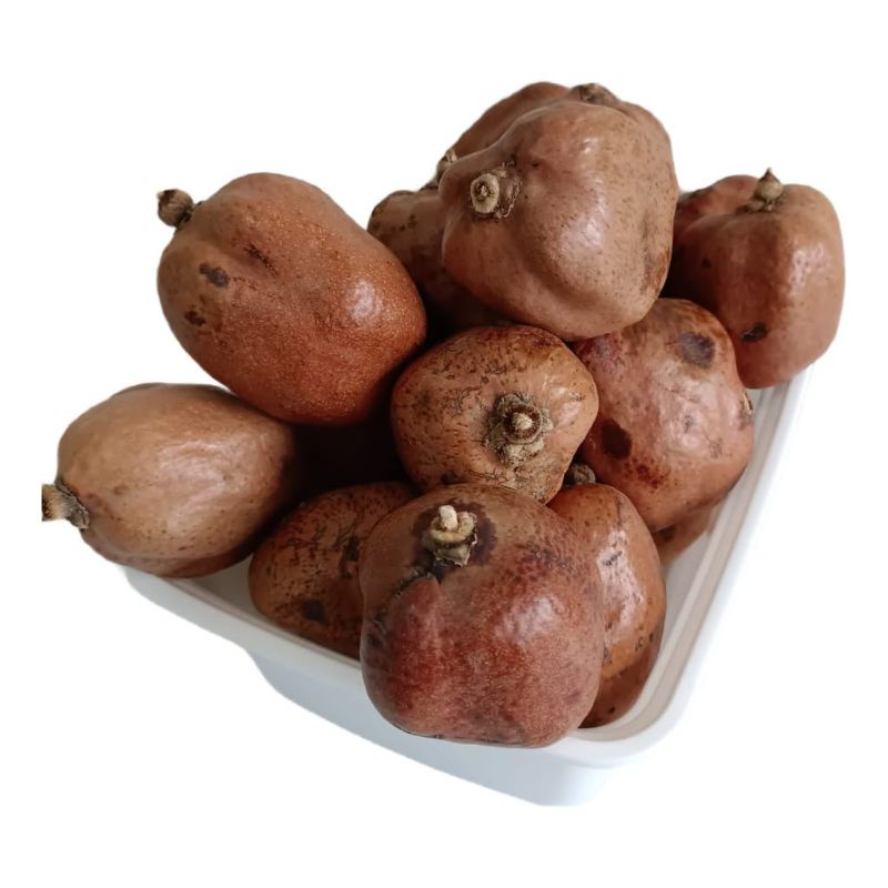 

Buah Zuriat Mesir 1/2 Kg Promil || Buah Doum Dzuriat 500 gr