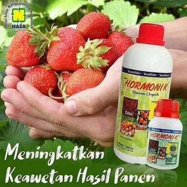 ZAT PERANGSANG TUMBUH PALING LARIS