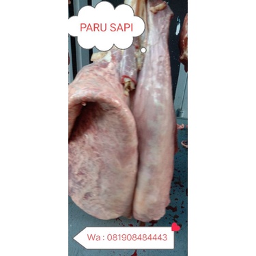 

PARU SAPI