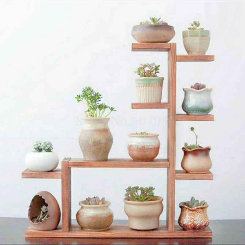 Rak Pot Kaktus / Rak Tanaman Kayu / Rak Tanaman Hias / Koleksi Cupang