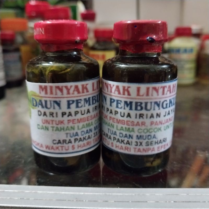 MINYAK LINTAH DAUN PEMBUNGKUS ASLI ORIGINAL 100% DARI PAPUA IRIAN JAYA
