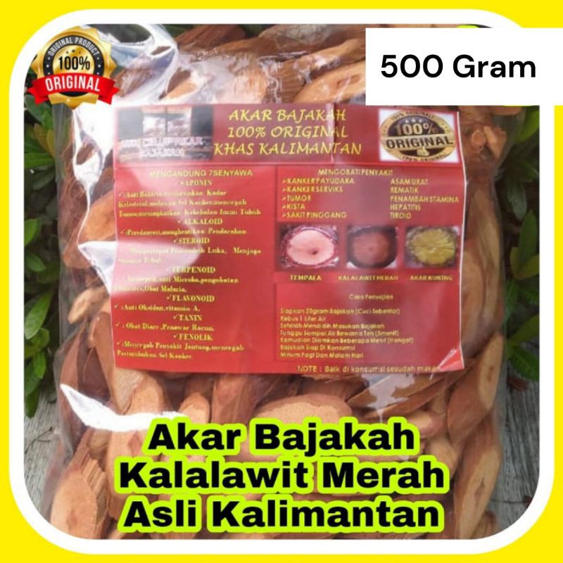 

AKAR BAJAKAH KERING SIAP SEDUH 500 Gr KHAS KALIMANTAN (100% ORIGINAL)