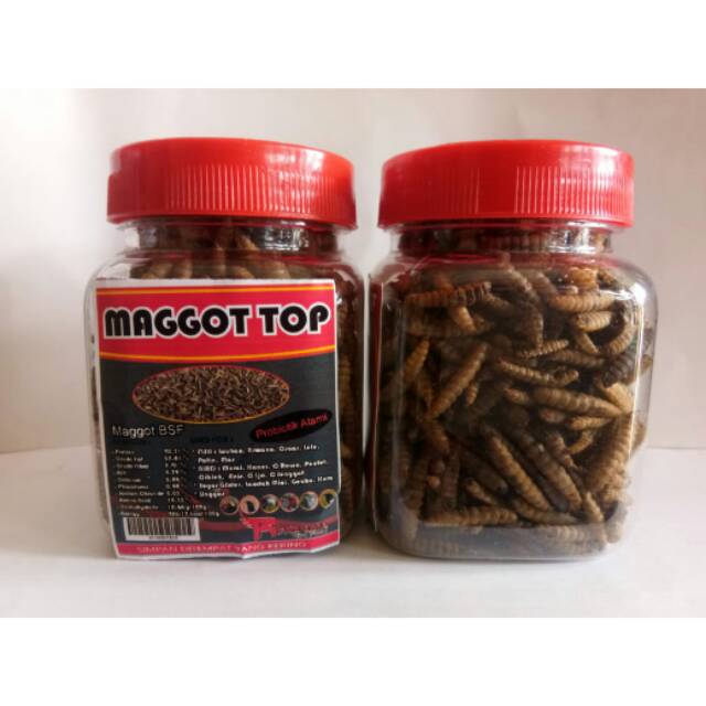 Maggot Kering 50 Gram Toples Pakan Burung Murai Kacer Ikan Lele