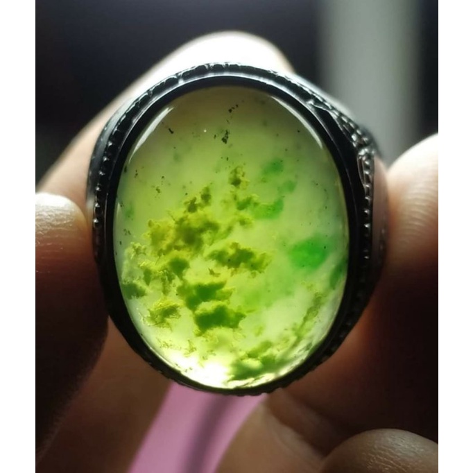 Natural batu akik kumbang jati