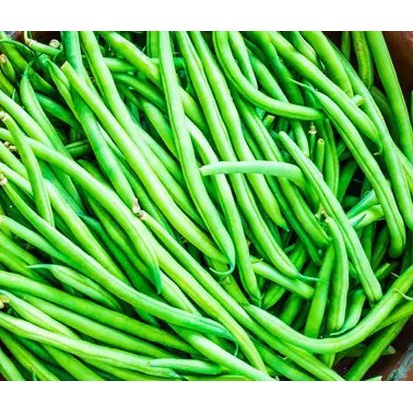 

Buncis Sayur Buncis