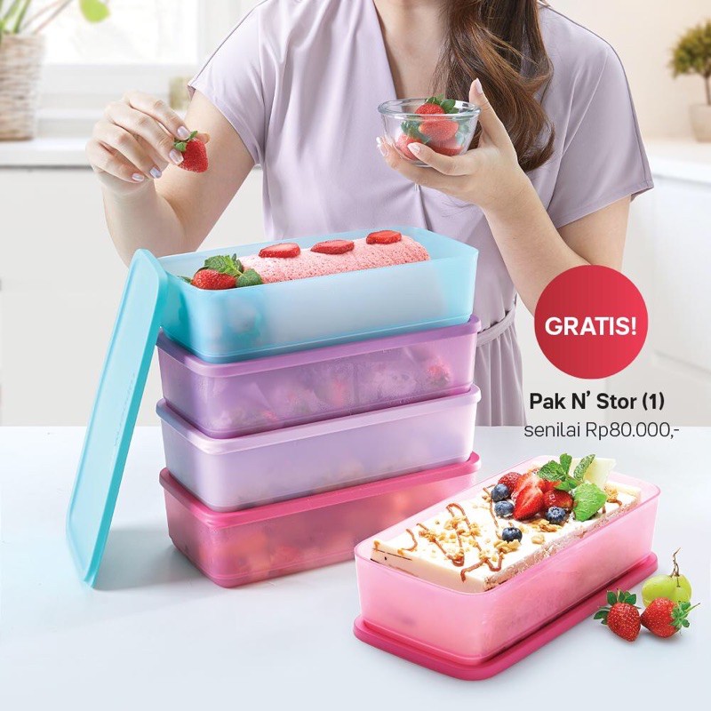 Tupperware Pak N Stor