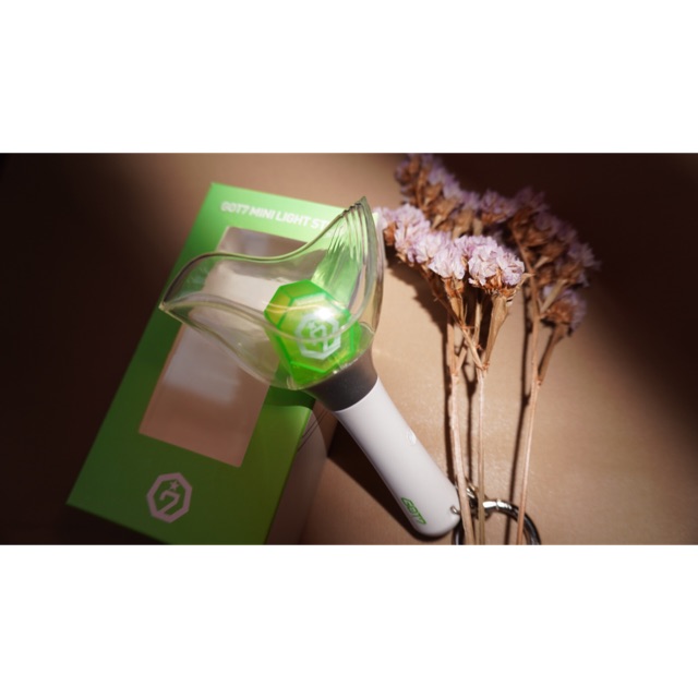 GOT7 MINI LIGHTSTICK (BAMBAM)