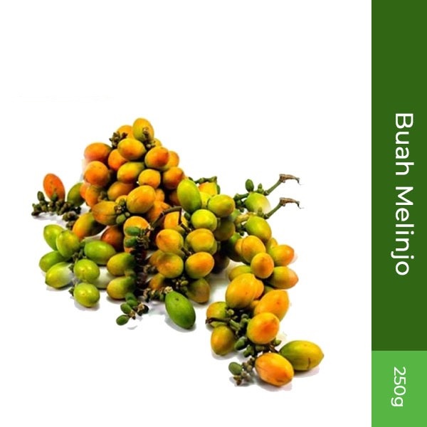 

Buah Melinjo 250gr